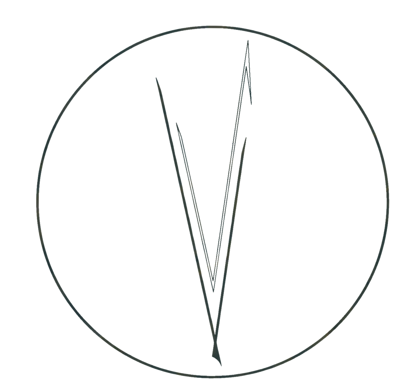 VCEVE Logo